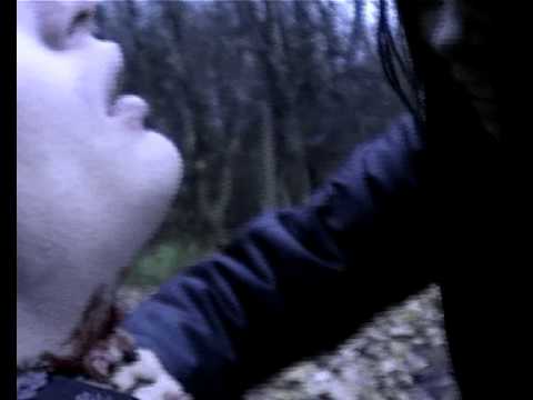 YouTube Trailer