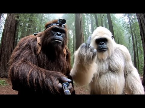 The MOST INSANE AI YETI & BIGFOOT TikTok MOMENTS!