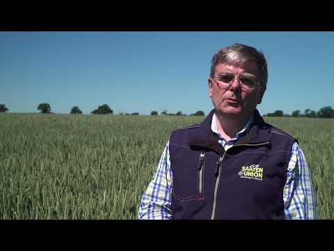 Saaten Union: Weizen NORDKAP und HYMALAYA, Vertriebsberater Andreas Henze, Standort Salzau