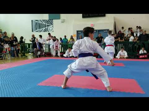 Kobushi Cup karate 2019