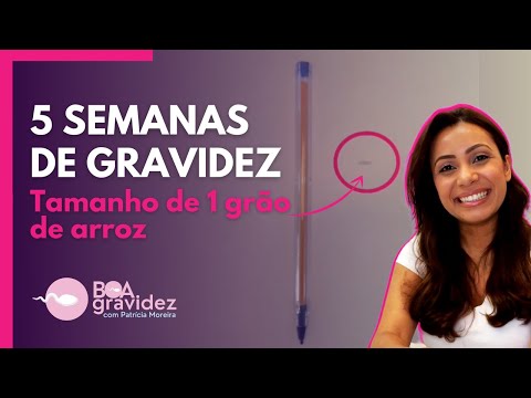 5 WEEKS PREGNANT - 2nd Month of Pregnancy