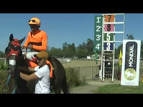 SINT FLORIDA 230420 c03 - 1° GENERAL MINE