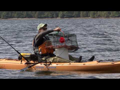 Shrimping From Your Kayak