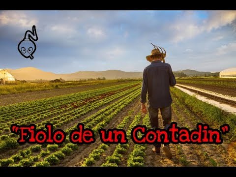 Fiolo de un Contadin - Radiosboro