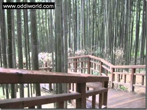 ODDiWOrld - World of Design & Inspiration [24/12/2012 - Posts Images]