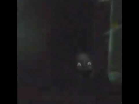 Don’tThreat | Jerk (TheVirusandAntidote remix) BRZH