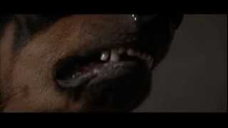 Dawn of Ashes - Dark Reality