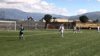 HIGH SCHOOL GIRLS’ SOCCER Save, Taos Tiger's Goalkeeper