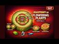 CBSE Class 11 Biology Anatomy Of Flowering Plants Full Chapter By Shiksha House
