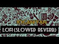 Joganiya Rahat Fateh Ali Khan Pagal Khana Lofi Slowed Reverb GreenEntertainmentTV