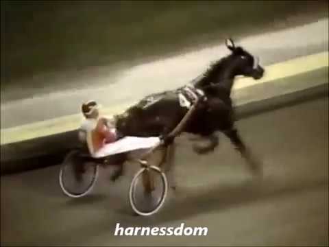 1985 Roosevelt Raceway ON THE ROAD AGAIN Levy Final