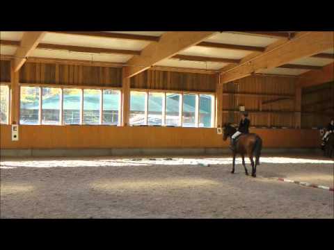 Abzeichenprüfung MEINE-Reitschule