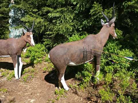 Final Target 12/05/2018