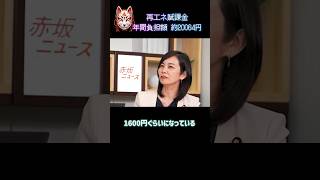 電気代が高すぎる！再エネ賦課金のステルス上昇と今後の脱炭素政策 #政治 #梅村みずほ #木村はやと #再エネ賦課金 #FIT #FIP #赤坂ニュース469