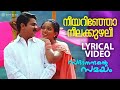 നീയറിഞ്ഞോ നീലക്കുഴലീ Sadanandante Samayam Lyrical Video Song D