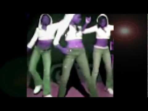 Shake it on the Dancefloor fan video.mpg