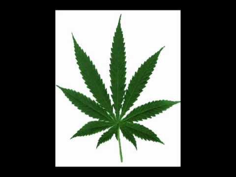 smoke weed everyday (Rasmus Hedegaard Remix)