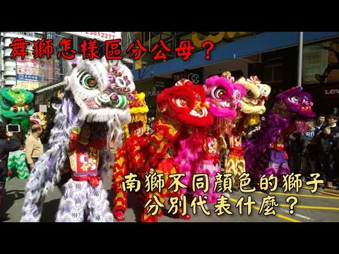 醒獅顏色代表