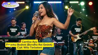 Download lagu Cantika Ayu - Pacarku Bodrek (Bondho Rai Gedek) #dangdutkoplo #youtubemusic #koplo @TerbekenChannel  mp3