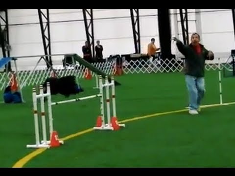 AKC Agility Distance Handling by Ron Heller