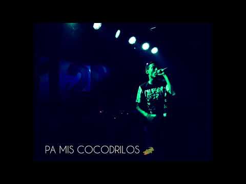 INHOR  🐊COCODRILOS 🐊