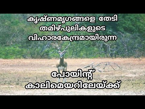 Point Calimere Wildlife and Bird Sanctuary | PCWBS | Kodikkarai Wildlife Sanctuary