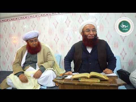 Nafs e Kamila Ki Tafseel نفس کاملہ کا تعارف و تفصیل || By Sarkar Molana Hameed Jan Saifi Sb