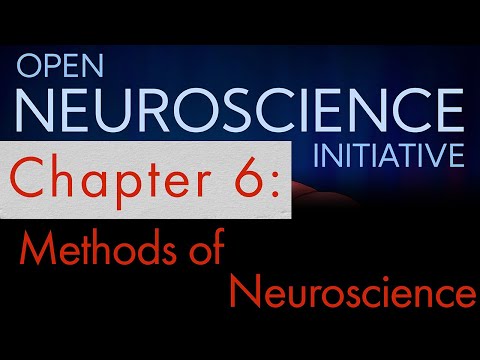 "Methods of Neuroscience" Open Neuroscience Initiative Chapter 6 (Free Neuroscience audiobook)