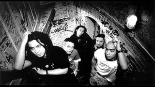 Green Lizard - Kitty Litter