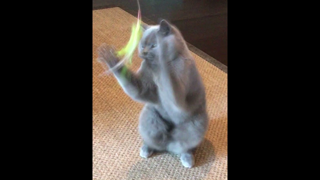 YouTube video preview