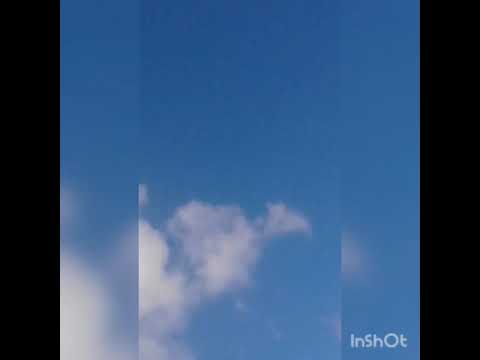 Laranjinha e acerola e seus amigos kkkk