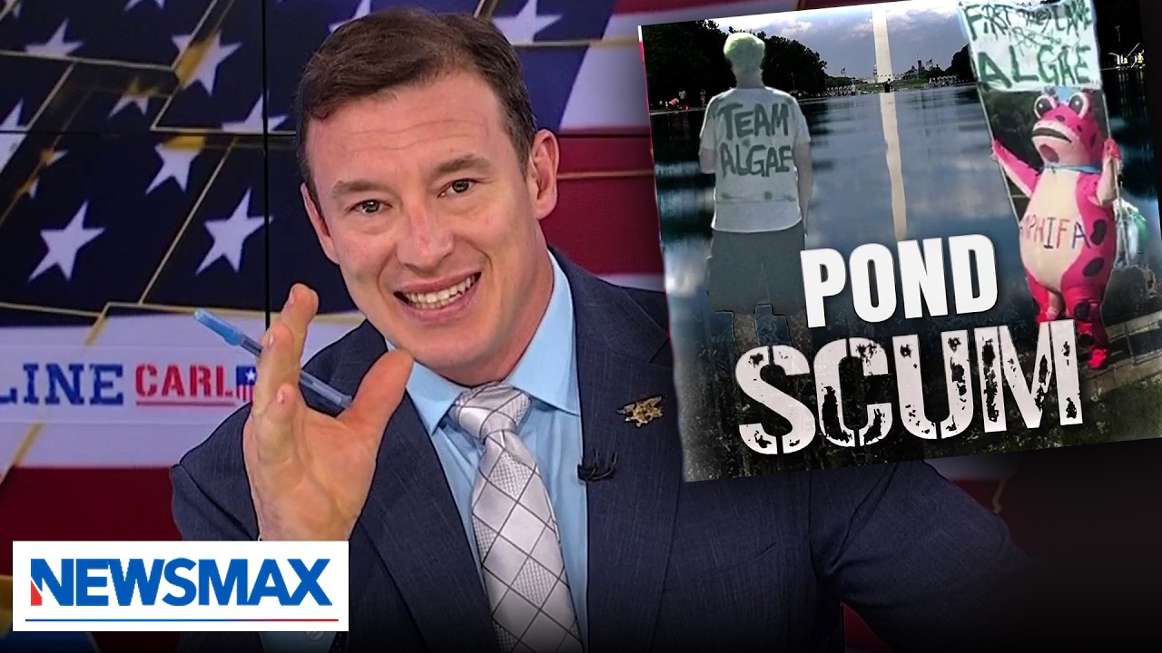 Liberals, as usual, whine and ignore facts on Reflecting Pool story: Carl Higbie