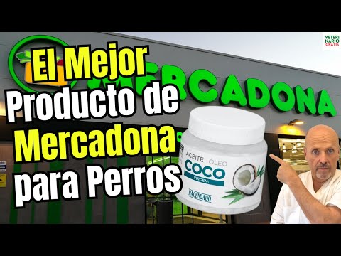 🐶🥥 MERCADONA COCONUT OIL: THE PRODUCT WITH 12 BENEFITS FOR DOGS FROM MERCADONA 🐶🥥