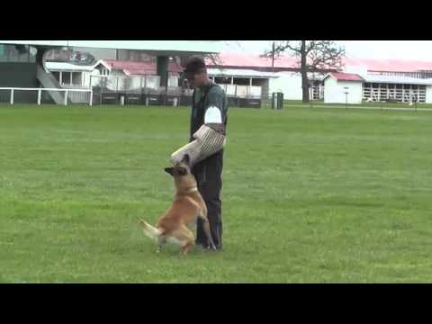 2015 -  Nordenstamm Yasco IPO1 Protection 99 points