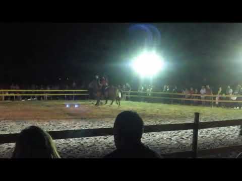 Ciccio Vintaloro meeting equestre Prizzi 2017