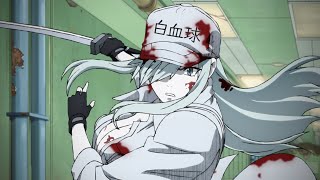 Cells at Work! CODE BLACK!Anime Trailer/PV Online