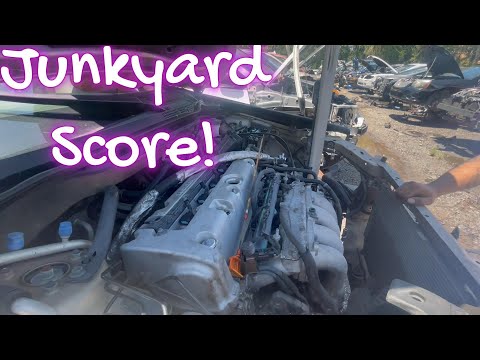 Budget Build Junkyard Score! #deals #junkyard #score #budget #cheap #honda #swap #parts #build