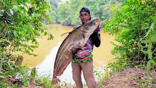 Download lagu REKOR MANCING IKAN TAPAH TERBESAR || CASTING MONSTER TAPAH SUNGAI KALIMANTAN mp3 Download lagu REKOR MANCING IKAN TAPAH TERBESAR || CASTING MONSTER TAPAH SUNGAI KALIMANTAN mp3