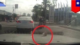 Litter bug: Irresponsible driver throws bag of trash out window, twice - TomoNews