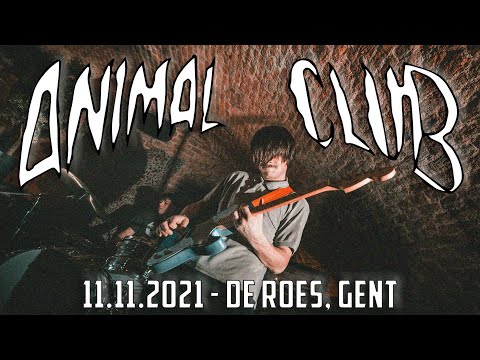 ANIMAL CLUB @ ROES, GENT - SINGLE CAM - FULL SET