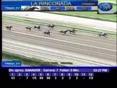 Resumen Domingo, 07 de Agosto de 2011   La Rinconada
