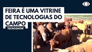 Miniatura do vídeo