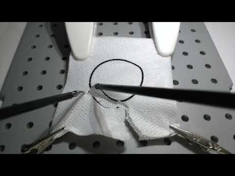 FLS Circle Cut - Tips and Tricks