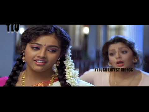 Akkineni Nagarjuna Telugu Movie | Meena, Nagma | Telugu latest Videos