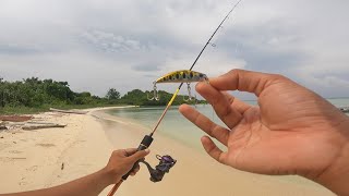 Download lagu Casting UL pinggir pantai di hajar ikan predator terus tak henti-henti !! mp3