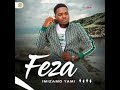 Feza Sengithole Omunye