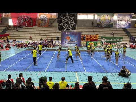 PIGCESAS - Engenharíadas Paranaense 2019