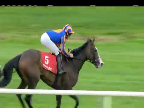 2018 Broadway Win Denny Cordell Lavarack & Lanwades Stud Fillies Stakes Gowran Park