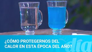 ¿Cómo protegernos del calor en esta época del año?