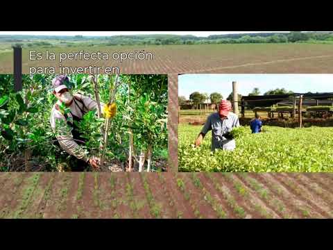 Venta Campo Garruchos, Corrientes